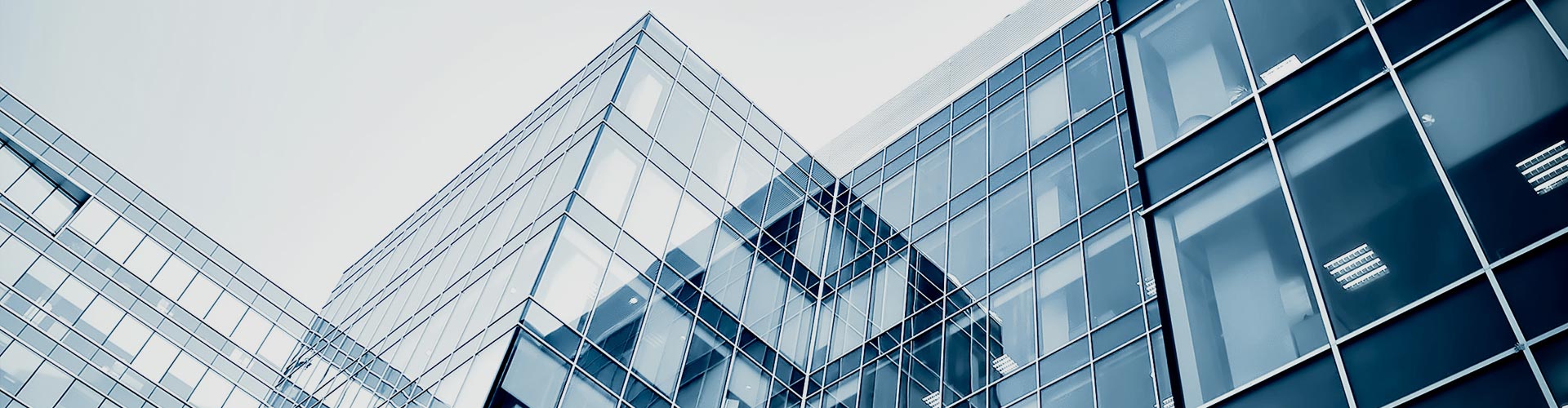 Solventi e diluenti per l'edilizia